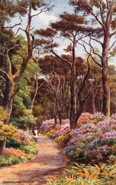 Sheringham Woods door Alfred Robert Quinton